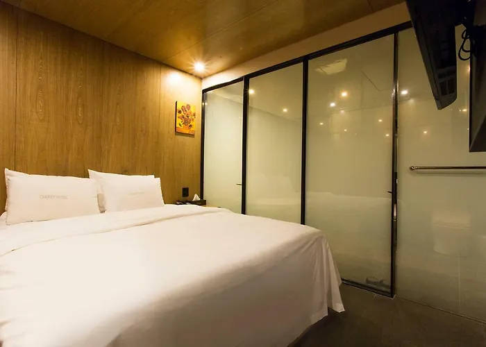 Cherry Hotel Seúl